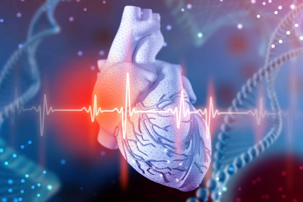 Cuore Dinamico Militare: concetti di cardiologia ed emodinamica